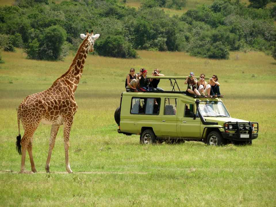 
6-Day Serengeti NP & Ngorongoro Crater Lodge Safar